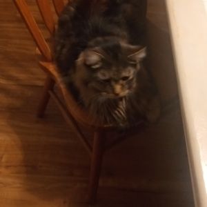 Meet your Posher, Kathy